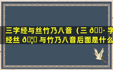 三字经与丝竹乃八音（三 🕷 字经丝 🦈 与竹乃八音后面是什么）